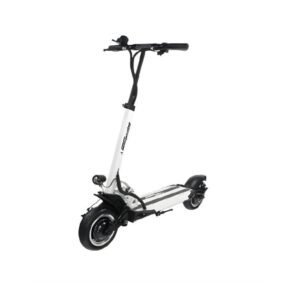 Trottinette électrique Speedway 5 Dual