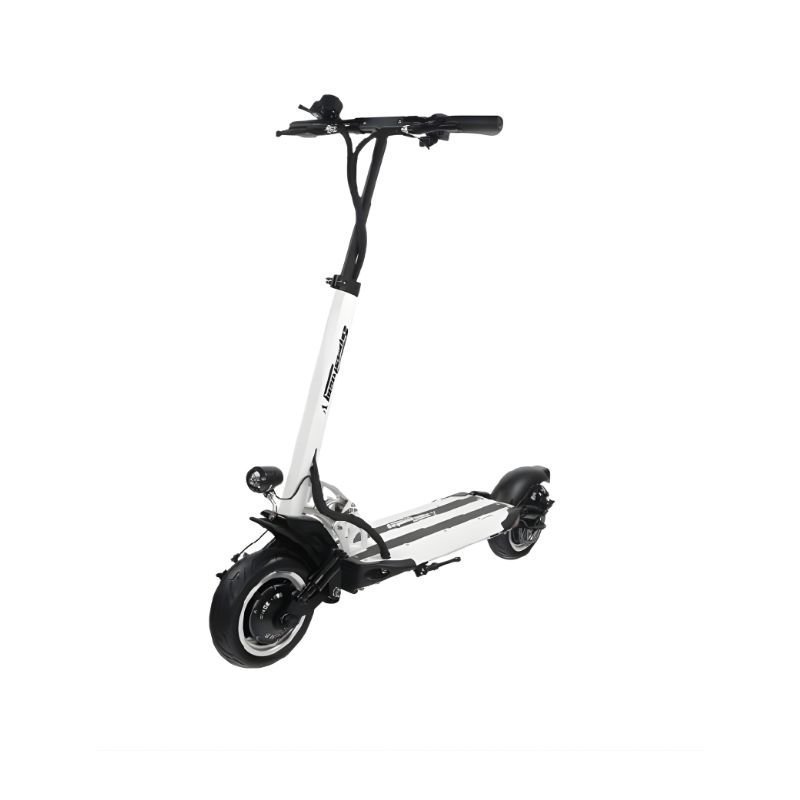 Trottinette électrique Speedway 5 Dual